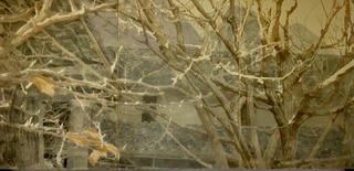 Độc đáo không gian "Dó - Space"