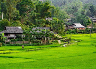 “Vân Hồ - Dòng chảy ý tưởng” dự kiến thu hút 10 nghìn người tham dự