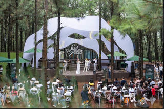 “Soul of the forest - Giai điệu của rừng thông”