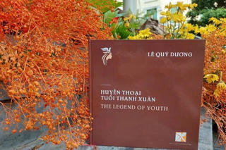 Câu chuyện xúc động của 10 cô gái Đồng Lộc được khắc họa qua cuốn sách song ngữ