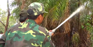 Vườn chim Bạc Liêu đang có nguy cơ cháy rừng ở cấp cực kỳ nguy hiểm