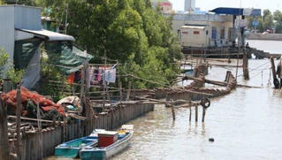 Công trình kè Tân Thuận xây dựng theo tình huống cấp bách với tốc độ "chậm rãi" 
