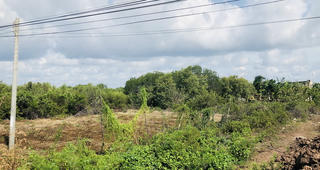 Đất sử dụng liên tục hơn 40 năm “tự dưng” mang tên người khác