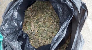 Người phụ nữ vận chuyển trái phép 4 kg cần sa bị bắt giữ