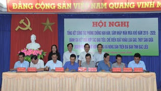 Quyết liệt hỗ trợ các doanh nghiệp ở Bạc Liêu liên kết với nông dân trong bao tiêu sản phẩm