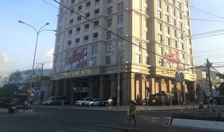 Doanh nghiệp “trảm” cây xanh rồi xin… trồng cây khác để “né” phạt