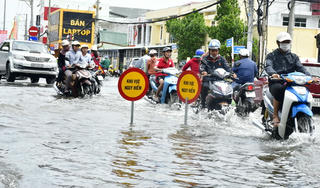 Ứng phó 'khẩn' với triều cường dâng cao ở Cà Mau