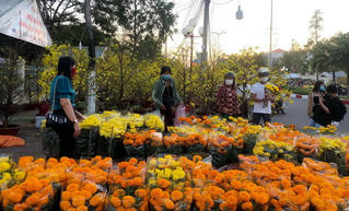 Chợ hoa kiểng Bạc Liêu ngày 30 Tết giảm giá nhưng ít người mua