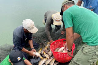 Anh nông dân tặng 10 tấn cá ủng hộ bà con khu cách ly 