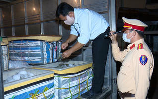 Phát hiện xe tải vận chuyển gần 01 tấn tôm chứa tạp chất