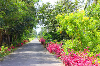 Huyện Thới Bình, Cà Mau phấn đầu về đích huyện điểm nông thôn mới