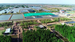 Khu vực kinh tế tập thể tỉnh Bạc Liêu có nhiều chuyển biến tích cực