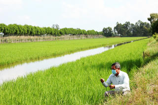 Huyện U Minh, Cà Mau: sản xuất nông, ngư, lâm nghiệp cơ bản đạt chỉ tiêu kế hoạch đề ra