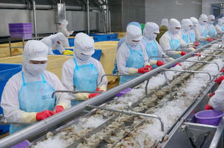 Cà Mau 25 năm xây dựng và phát triển