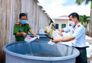 Công an Bạc Liêu phát hiện gần 5,3 triệu con tôm giống chưa qua kiểm dịch