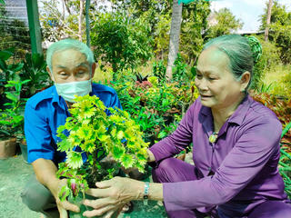 Người phụ nữ cao tuổi ươm, nhân giống hàng ngàn cây xanh, hoa kiểng làm đẹp các tuyến quê hương