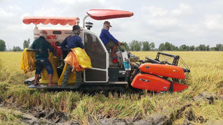 Huyện Vĩnh Lợi kiểm soát tốt dịch bệnh để phục hồi và phát triển kinh tế - xã hội 