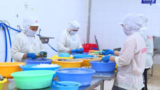 Cà Mau hỗ trợ doanh nghiệp vượt qua khó khăn do ảnh hưởng dịch COVID-19