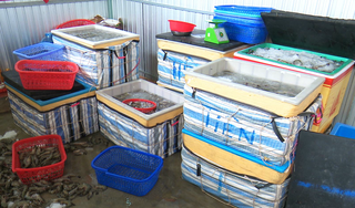 Cảnh sát môi trường Công an Bạc Liêu phát hiện cơ sở đưa tạp chất vào tôm nguyên liệu