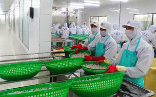 Cà Mau triển khai quyết liệt Chương trình phục hồi và phát triển kinh tế - xã hội