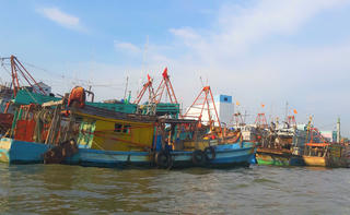 Cà Mau tăng cường phối hợp, xử lý kiên quyết tàu cá vi phạm