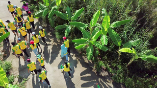 Trải nghiệm hoạt hoạt động đi bộ xuyên rừng U Minh hạ - Đấu trường chim chào mào hót