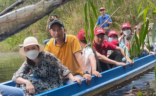 Khám phá đất rừng U Minh