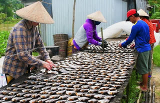 Nâng cao chất lượng thương hiệu cá khô bổi ở Cà Mau