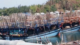 Tàu câu mực bị tàu lạ đâm chìm khiến 2 ngư dân bị thương nặng, 1 ngư dân mất tích