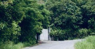 Hết thời hiệu kỷ luật 2 đảng viên sai phạm cấp đất ở Sơn Trà