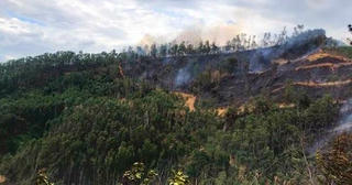 Cháy rừng keo khiến một người dân tử vong