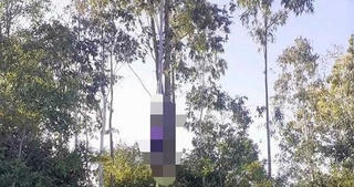 Phát hiện thi thể người đàn ông chết trong tư thế treo cổ ở Quảng Nam