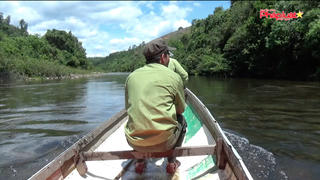 Thừa Thiên Huế: Chủ động trong công tác phòng, chống cháy rừng mùa khô hạn