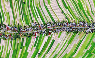 Ngôi làng chỉ có một con đường đẹp như tranh ở Ba Lan