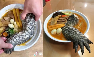 'Sốc' trước hình ảnh món mì… cá sấu ở Đài Loan