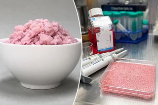 Xuất hiện loại gạo mới chứa... thịt bò