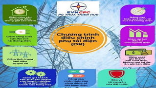 Điều chỉnh phụ tải điện: Lợi cho toàn cộng đồng