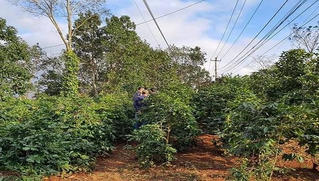 Người dùng kéo, kẻ cầm dao … 1 người tử vong