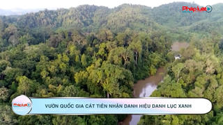 Vườn quốc gia Cát Tiên nhận danh hiệu Danh lục xanh