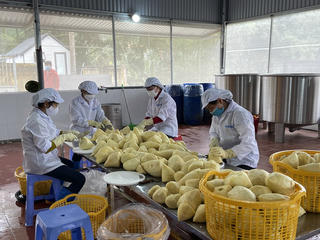 Hòa Bình tập trung phát triển công nghệ chế biến nông sản và thực phẩm 