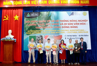 Nhiều giải pháp phát triển bền vững vựa lúa miền Tây