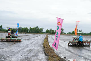 Kiên Giang: Khởi động Đề án 1 triệu ha lúa chất lượng cao, tăng trưởng xanh 