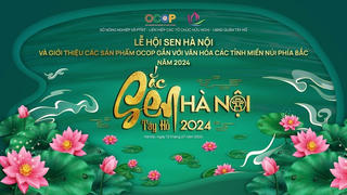Những điểm đặc sắc của Lễ hội Sen Hà Nội 2024