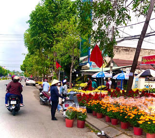 Xuân tràn ngập phố phường Cần Thơ