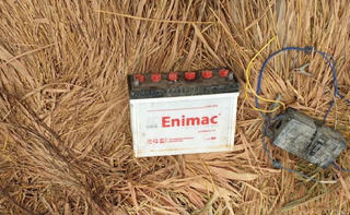 Cần Thơ: Khởi tố người đàn ông dùng bẫy điện diệt chuột khiến hàng xóm tử vong