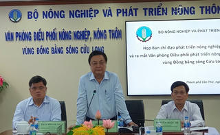 Cần Thơ: Văn phòng Điều phối nông nghiệp, nông thôn vùng ĐBSCL được ra mắt