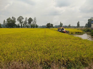 Sóc Trăng: Xử lý tình trạng sử dụng đất không đúng mục đích và gây sốt đất ảo do cò thổi giá