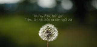 Ở trọ trần gian