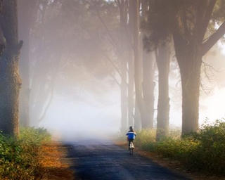 Còn chút gì để nhớ