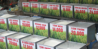 Gạo quá thơm ngon, coi chừng độc tố!